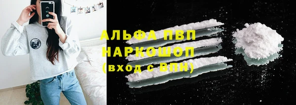 прущие грибы Горняк