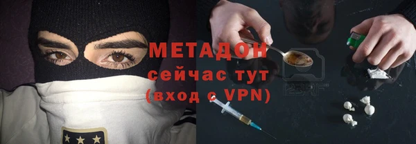 прущие грибы Горняк