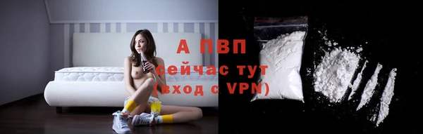 PSILOCYBIN Горнозаводск
