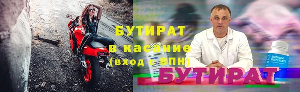 прущие грибы Горняк