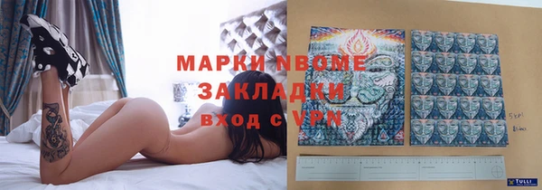прущие грибы Горняк